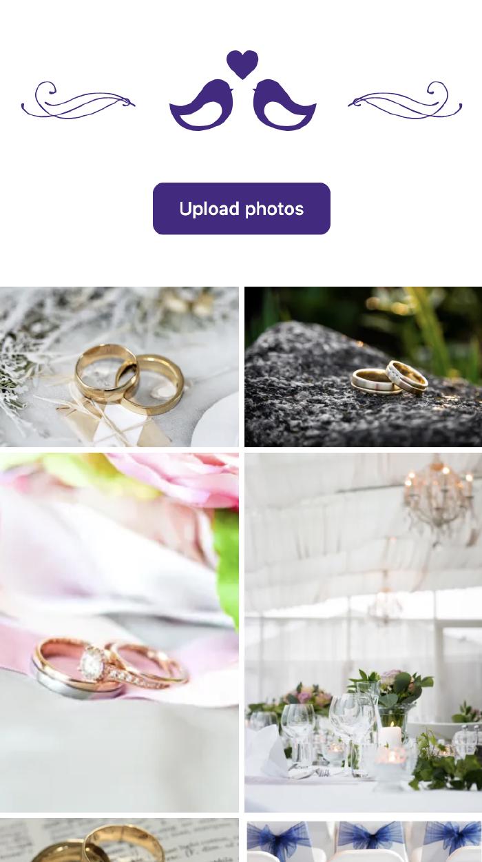 The lazy-loaded photo gallery