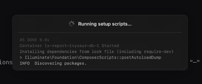 Forge running workspace setup scripts on open